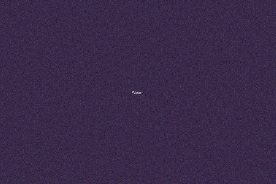 六合彩碼報天地專家團隊介紹