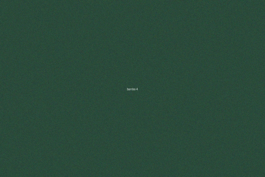 六合彩半波投注策略對比分析