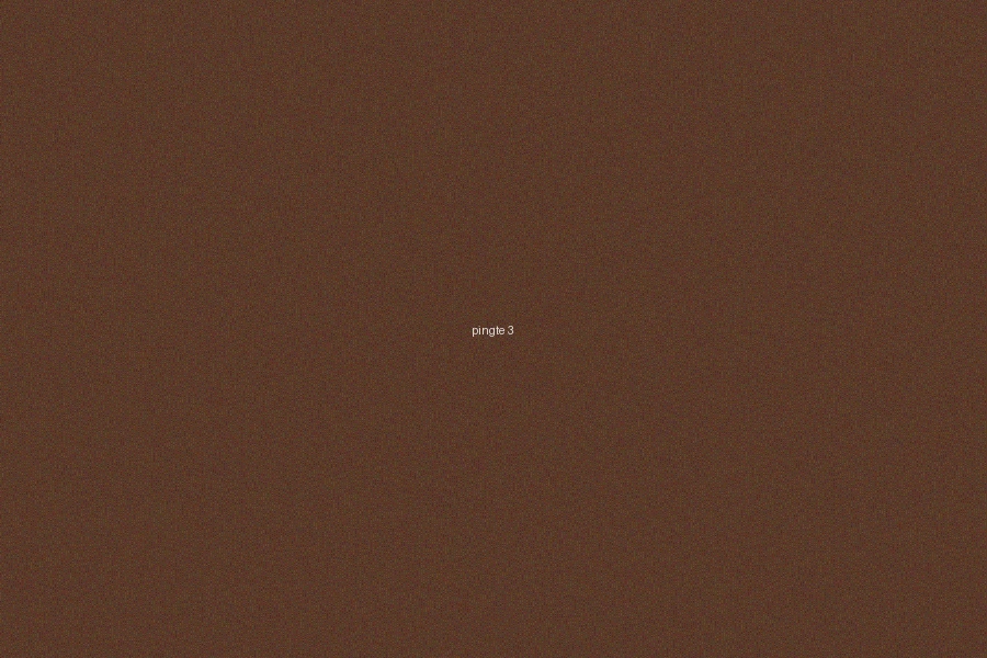 六合彩平特一肖選號技巧分析