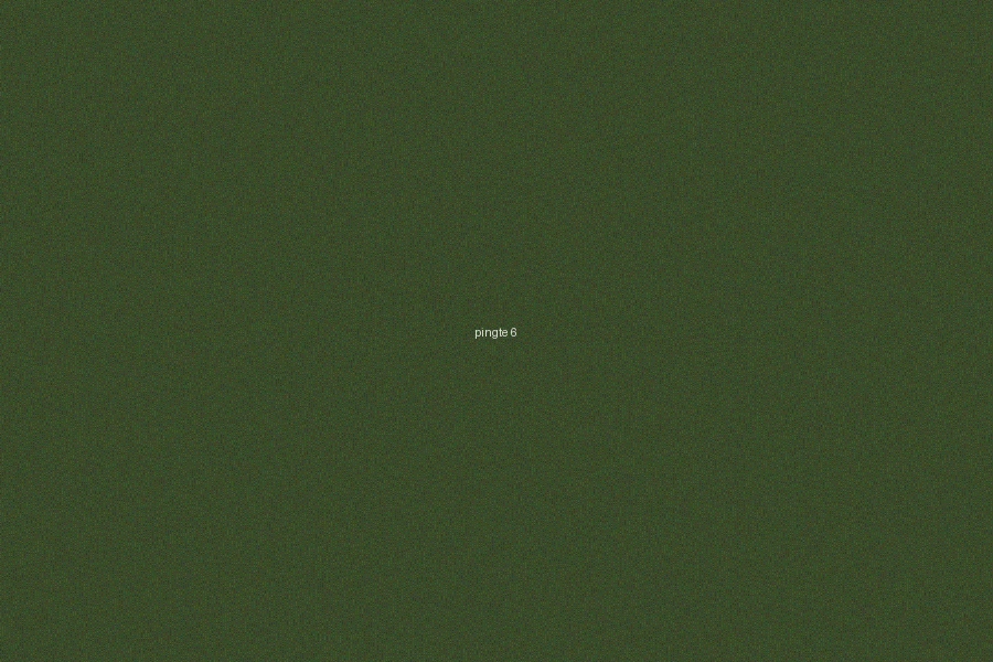 六合彩平特一肖進階策略圖解